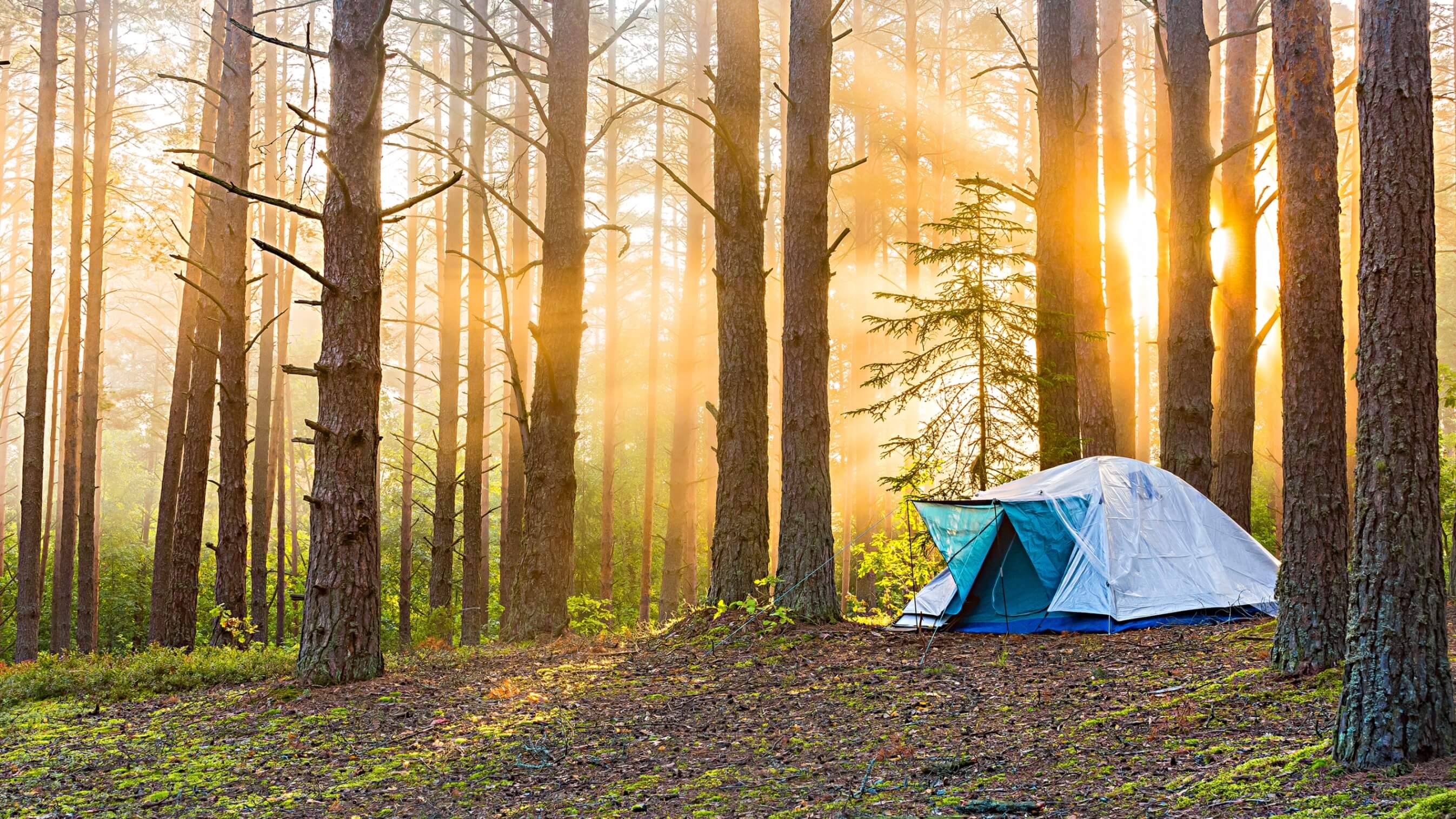 Campsites%20in%20Switzerland%20-%20Cover%2016-9 These are the most beautiful campsites in Switzerland!